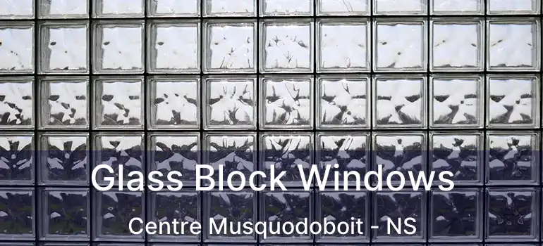  Glass Block Windows Centre Musquodoboit - NS