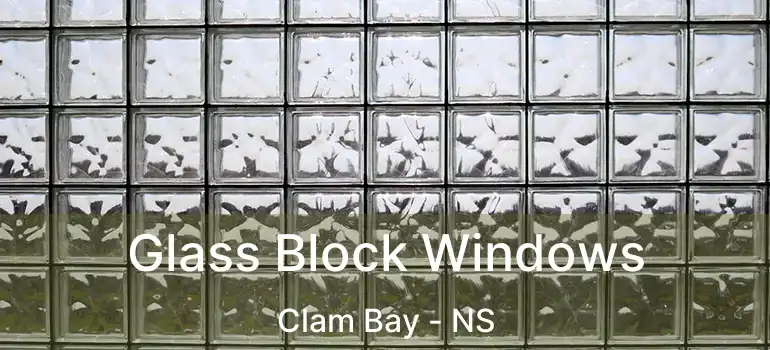  Glass Block Windows Clam Bay - NS