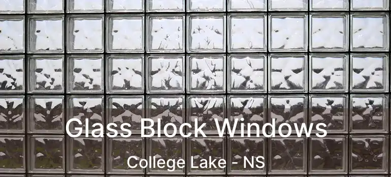  Glass Block Windows College Lake - NS