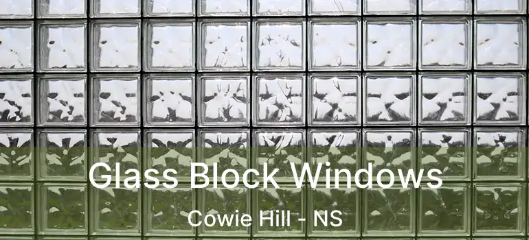  Glass Block Windows Cowie Hill - NS