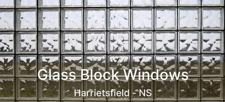  Glass Block Windows Harrietsfield - NS