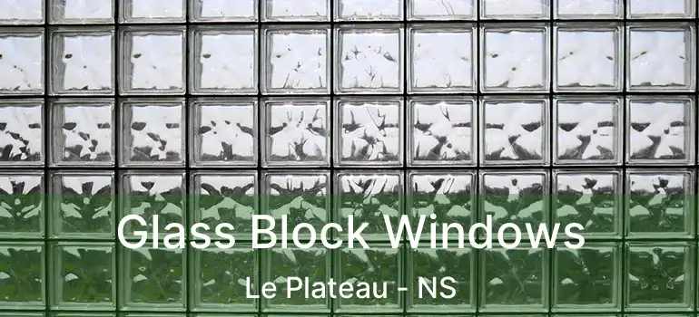  Glass Block Windows Le Plateau - NS