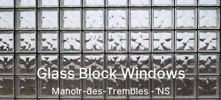  Glass Block Windows Manoir-des-Trembles - NS