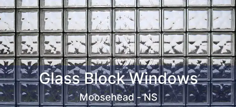  Glass Block Windows Moosehead - NS