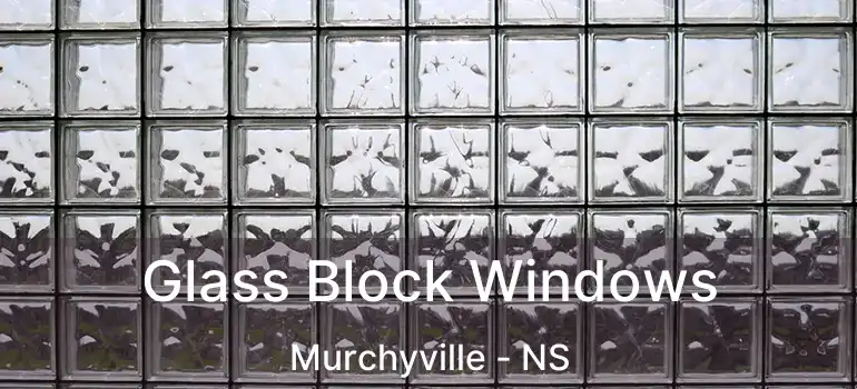  Glass Block Windows Murchyville - NS