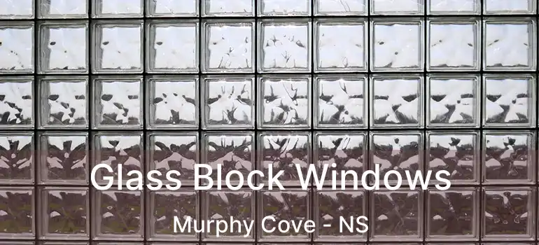  Glass Block Windows Murphy Cove - NS