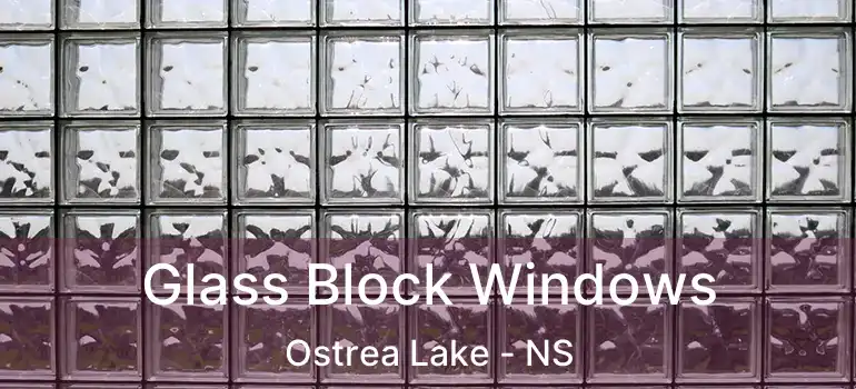  Glass Block Windows Ostrea Lake - NS