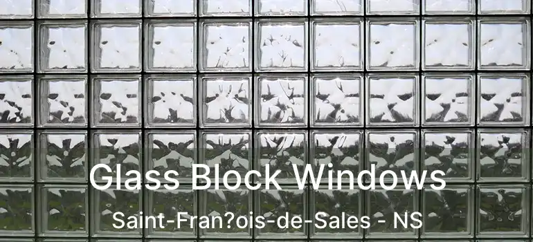  Glass Block Windows Saint-Fran?ois-de-Sales - NS