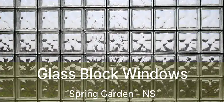  Glass Block Windows Spring Garden - NS