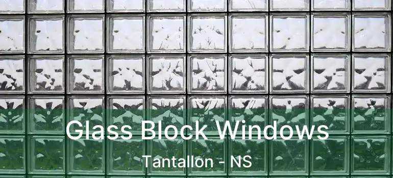  Glass Block Windows Tantallon - NS