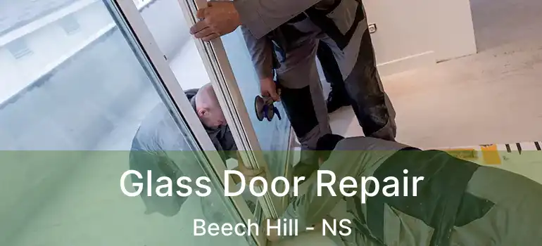  Glass Door Repair Beech Hill - NS