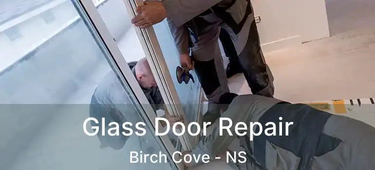  Glass Door Repair Birch Cove - NS