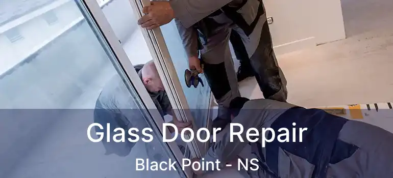  Glass Door Repair Black Point - NS