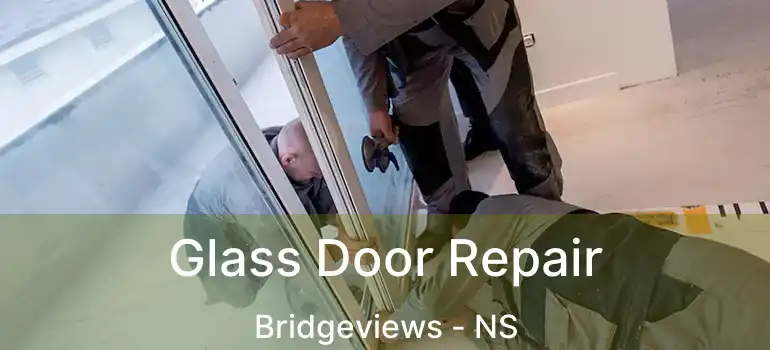  Glass Door Repair Bridgeviews - NS