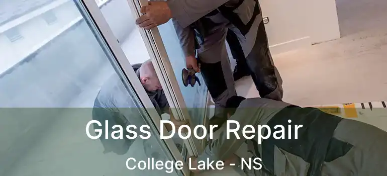  Glass Door Repair College Lake - NS