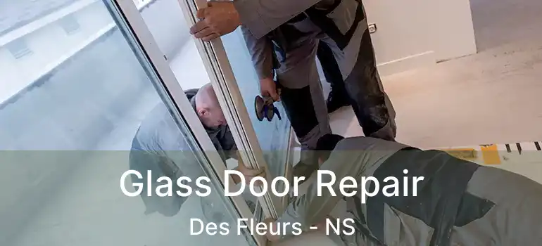  Glass Door Repair Des Fleurs - NS