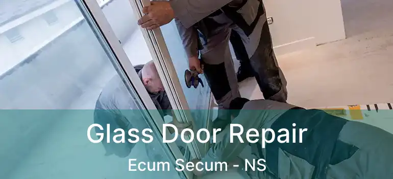  Glass Door Repair Ecum Secum - NS