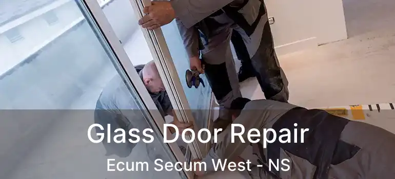  Glass Door Repair Ecum Secum West - NS