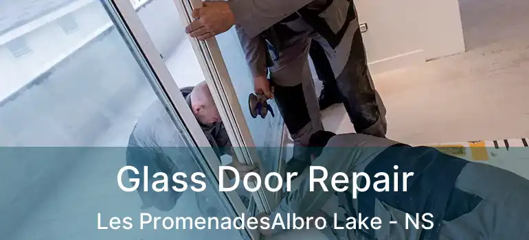  Glass Door Repair Les PromenadesAlbro Lake - NS