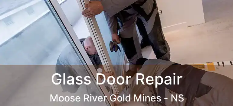  Glass Door Repair Moose River Gold Mines - NS