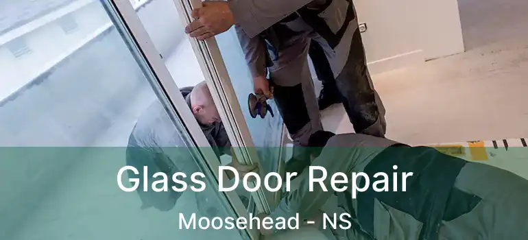  Glass Door Repair Moosehead - NS