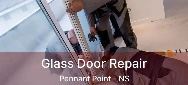  Glass Door Repair Pennant Point - NS