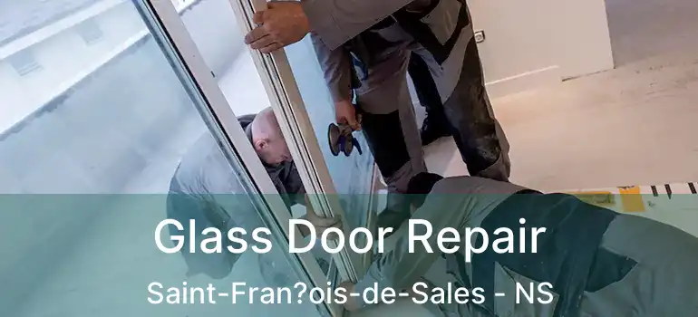  Glass Door Repair Saint-Fran?ois-de-Sales - NS