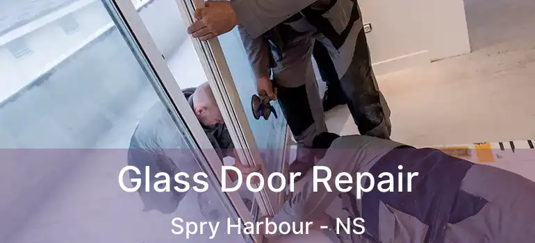  Glass Door Repair Spry Harbour - NS