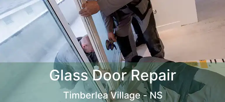  Glass Door Repair Timberlea Village - NS