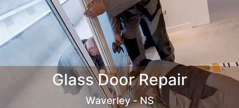  Glass Door Repair Waverley - NS