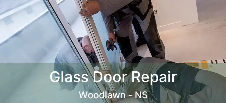  Glass Door Repair Woodlawn - NS