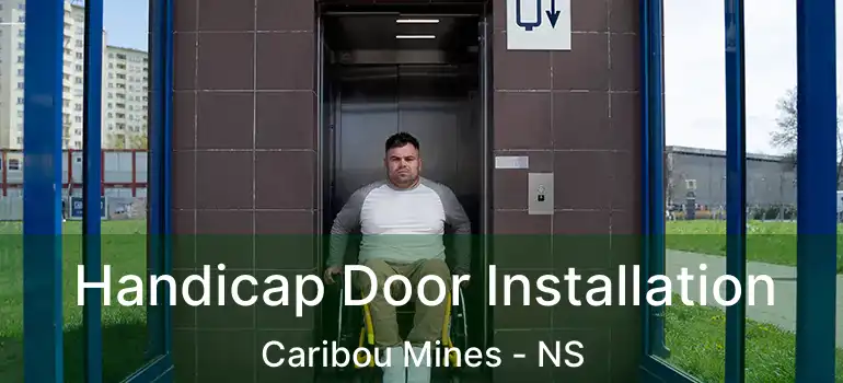  Handicap Door Installation Caribou Mines - NS