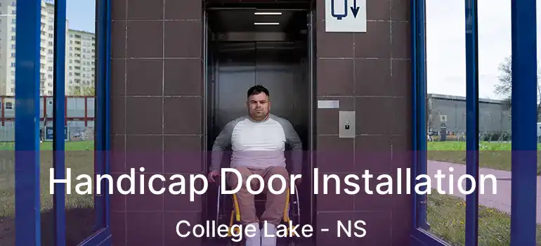  Handicap Door Installation College Lake - NS