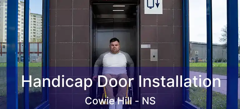  Handicap Door Installation Cowie Hill - NS