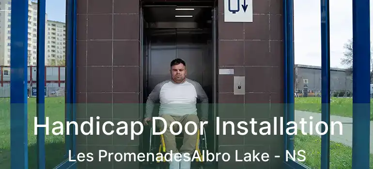  Handicap Door Installation Les PromenadesAlbro Lake - NS