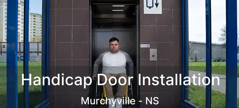  Handicap Door Installation Murchyville - NS