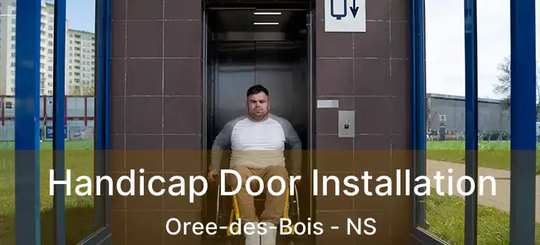  Handicap Door Installation Oree-des-Bois - NS