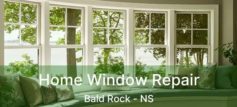  Home Window Repair Bald Rock - NS