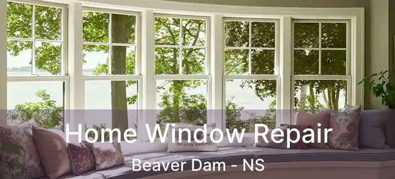  Home Window Repair Beaver Dam - NS