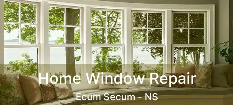  Home Window Repair Ecum Secum - NS