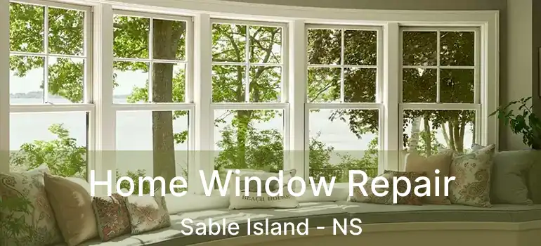  Home Window Repair Sable Island - NS