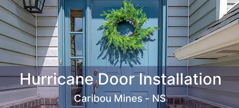  Hurricane Door Installation Caribou Mines - NS