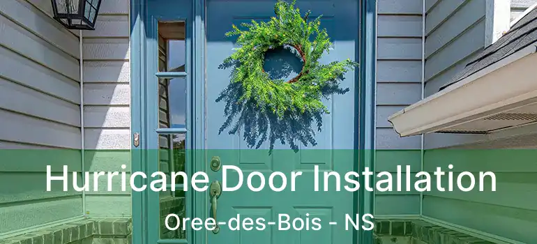  Hurricane Door Installation Oree-des-Bois - NS