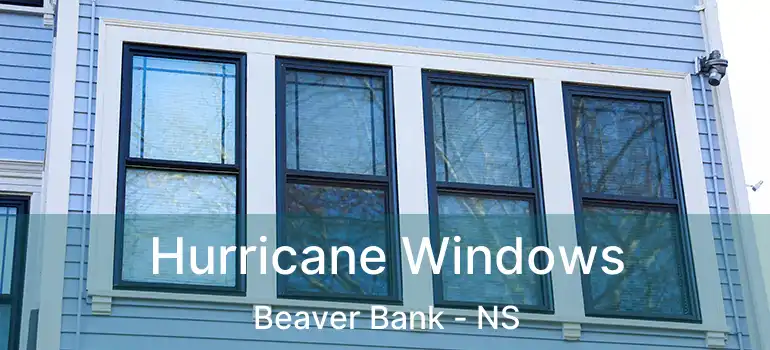  Hurricane Windows Beaver Bank - NS