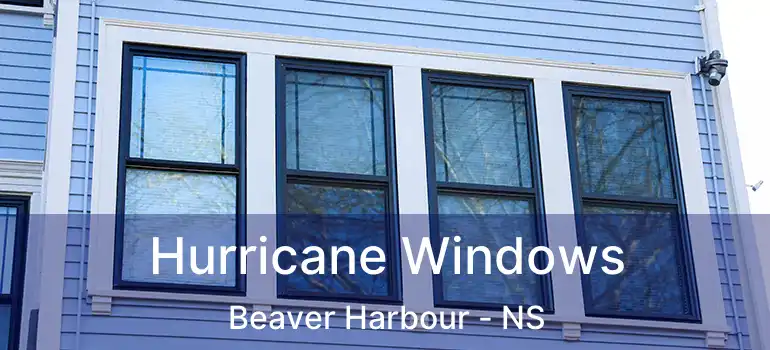  Hurricane Windows Beaver Harbour - NS