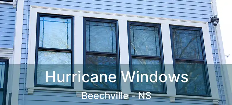  Hurricane Windows Beechville - NS