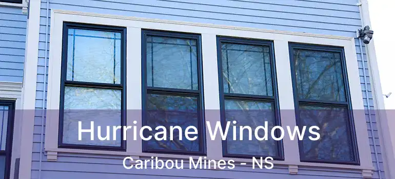  Hurricane Windows Caribou Mines - NS