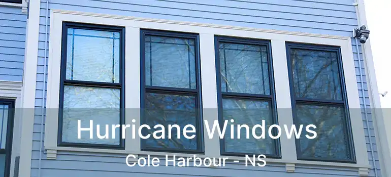  Hurricane Windows Cole Harbour - NS