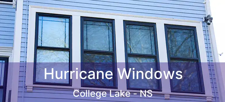  Hurricane Windows College Lake - NS