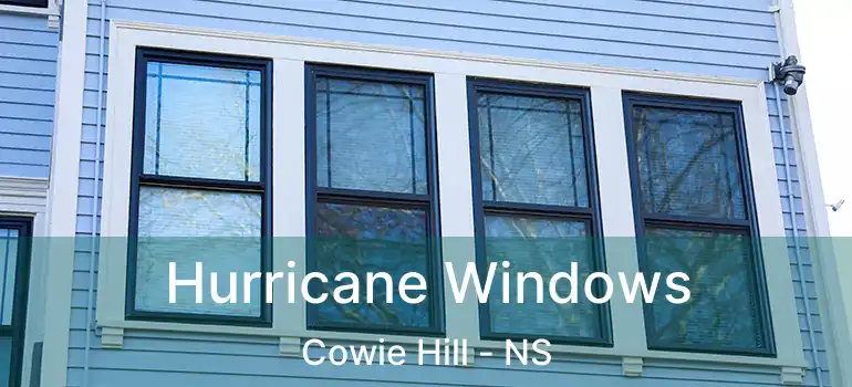  Hurricane Windows Cowie Hill - NS